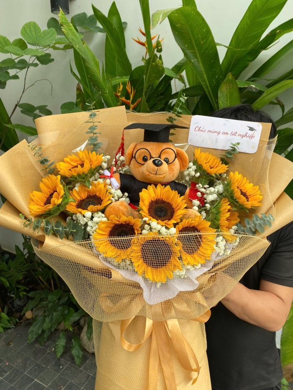 Bó hướng dương x Gấu tốt nghiệp