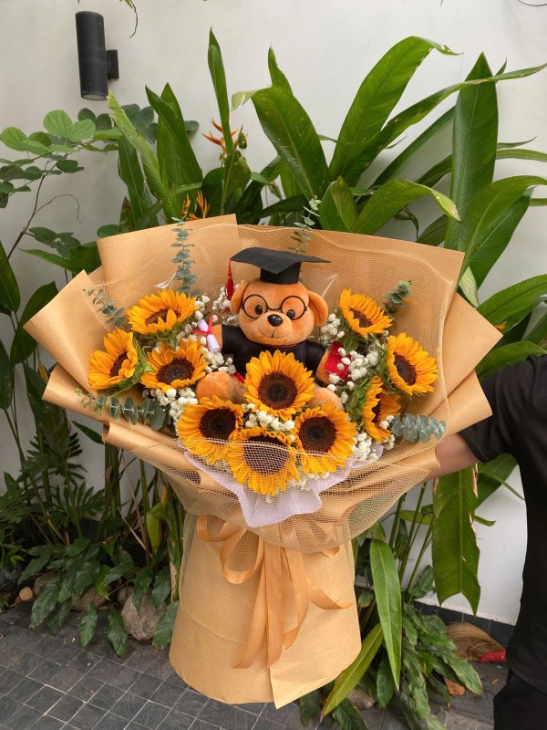 Bó hướng dương x Gấu tốt nghiệp