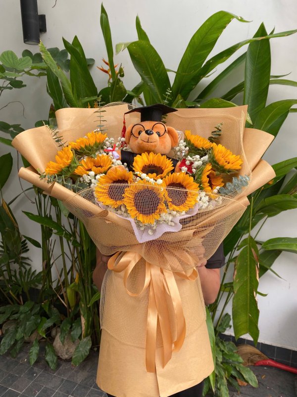 Bó hướng dương x Gấu tốt nghiệp
