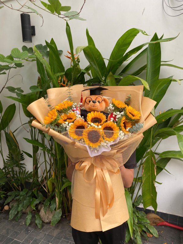 Bó hướng dương x Gấu tốt nghiệp